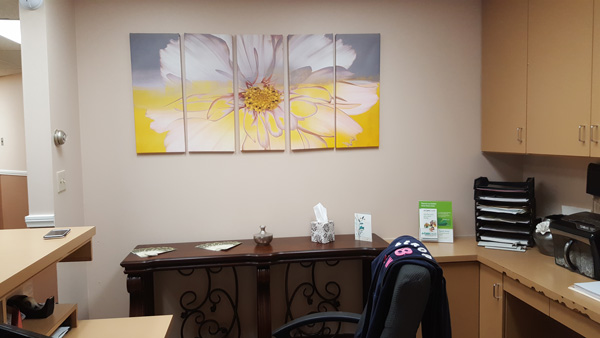 New Patients, Highland Dental Office, Duarte, CA